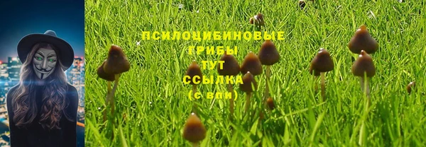 гашишное масло Козельск